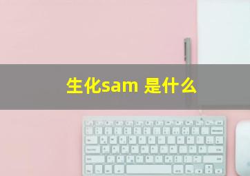 生化sam 是什么